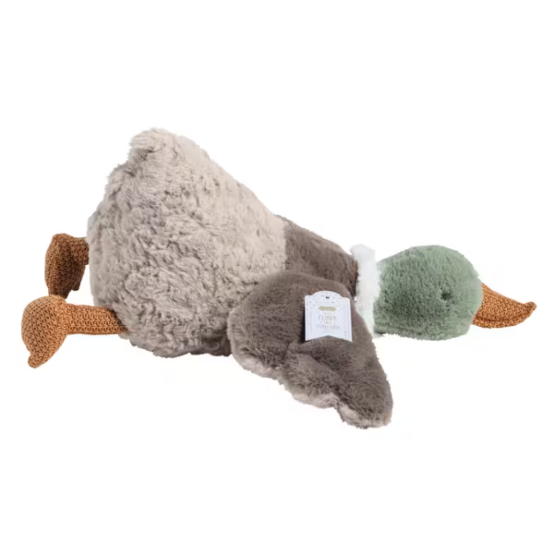 Fisher the Mallard