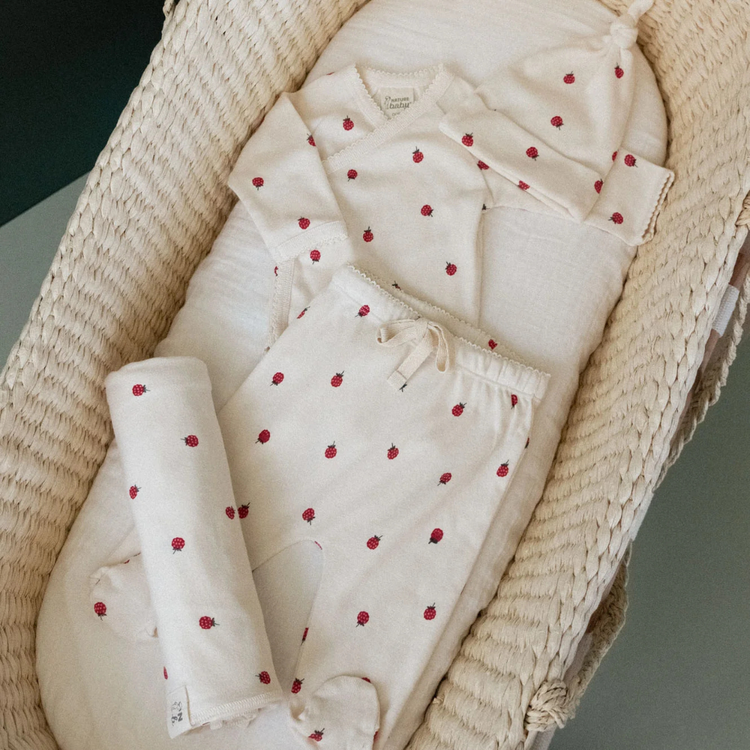 Welcome Home 4pc Raspberry Set