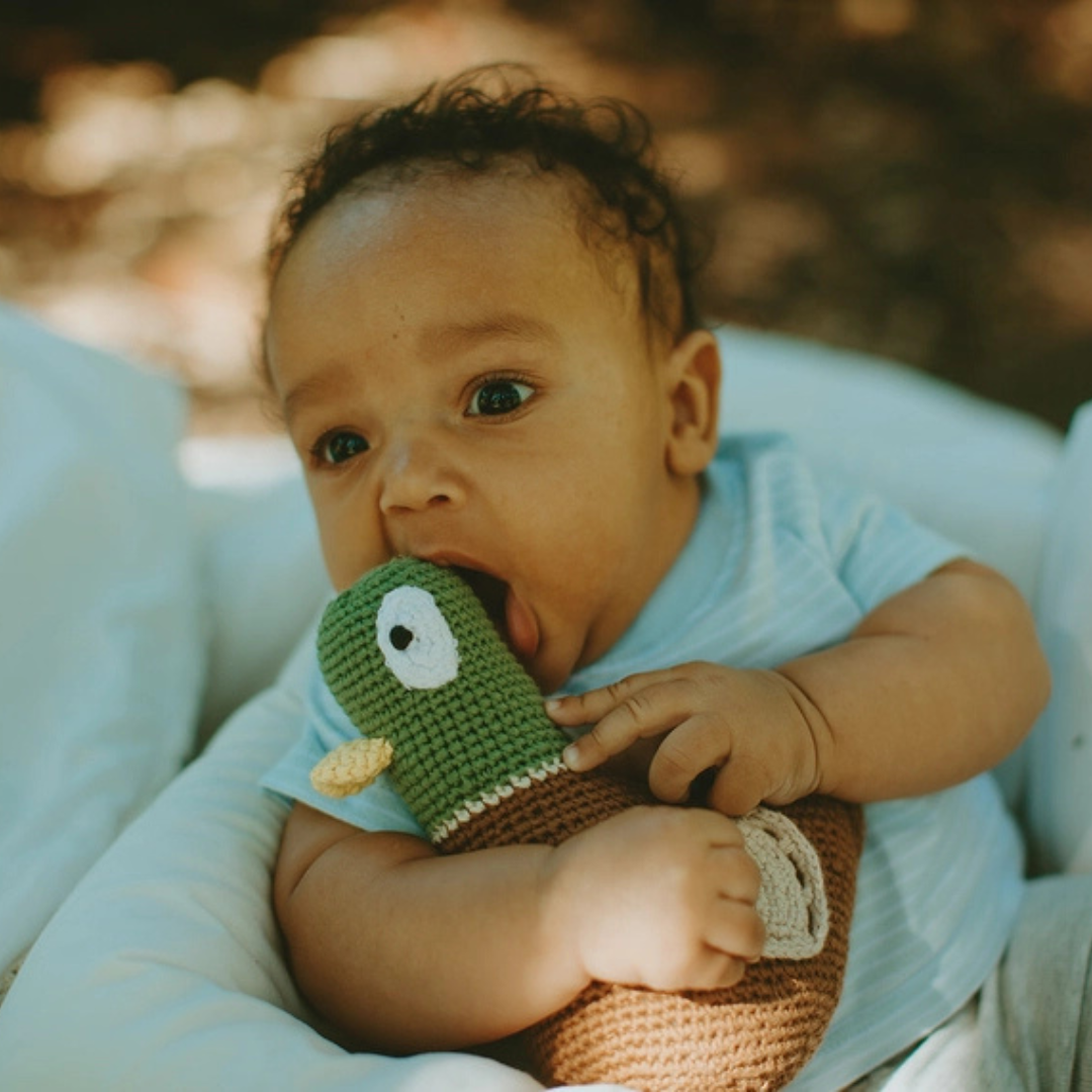 Mallard Duck Crochet Plush