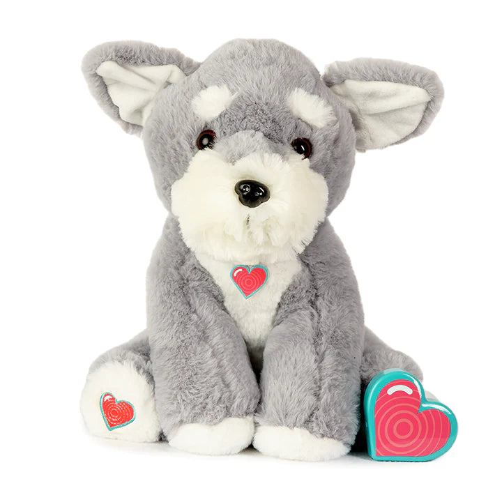 Puppy Schnauzer