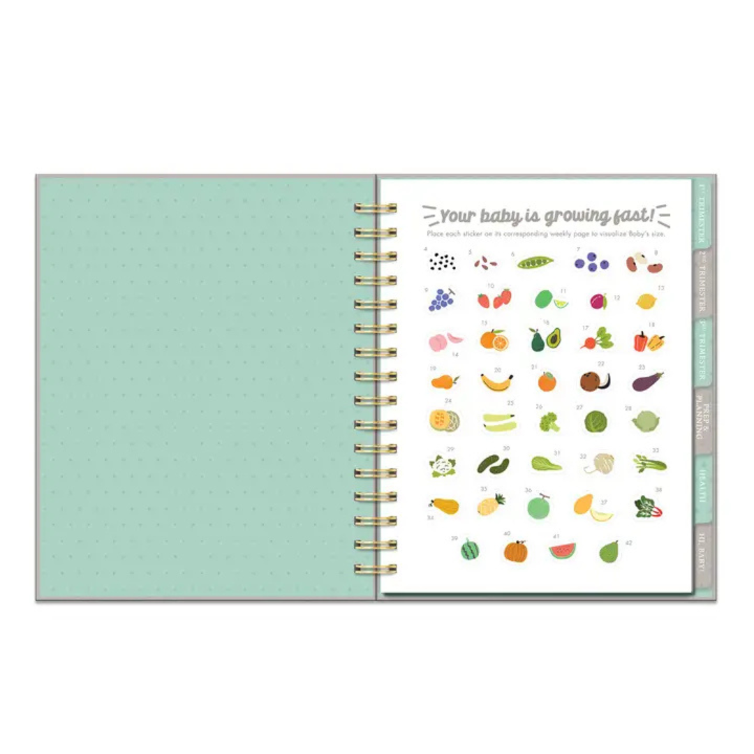 Countdown to Baby Pregnancy Planner