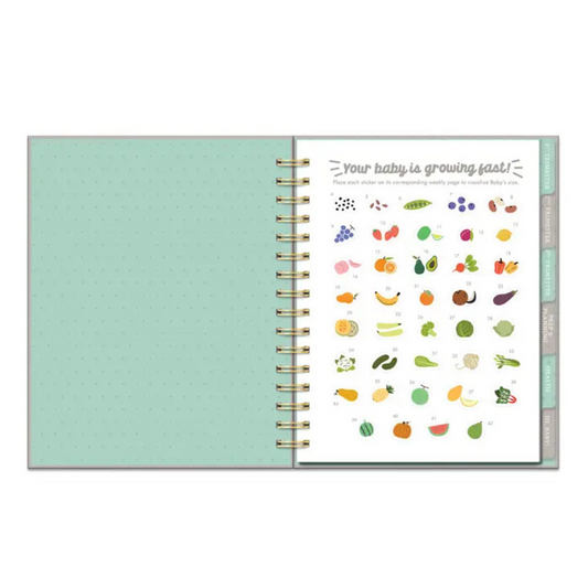 Countdown to Baby Pregnancy Planner