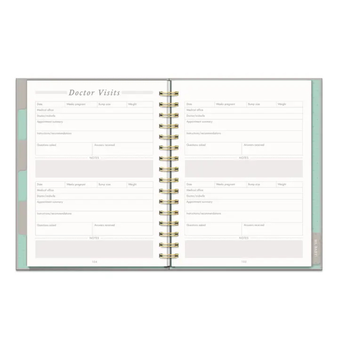 Countdown to Baby Pregnancy Planner
