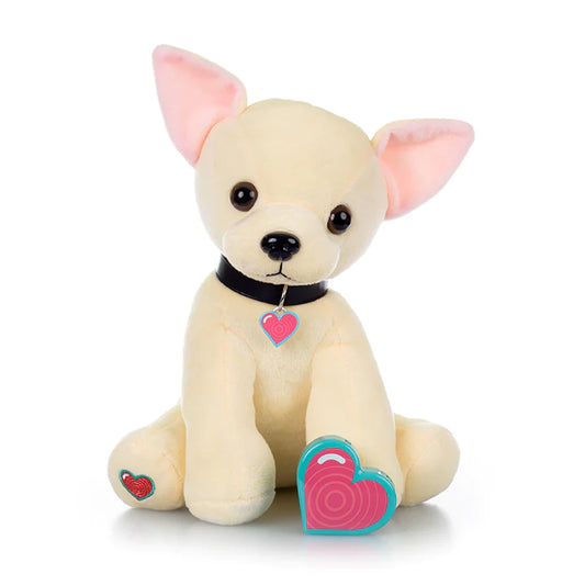 Puppy Chihuahua