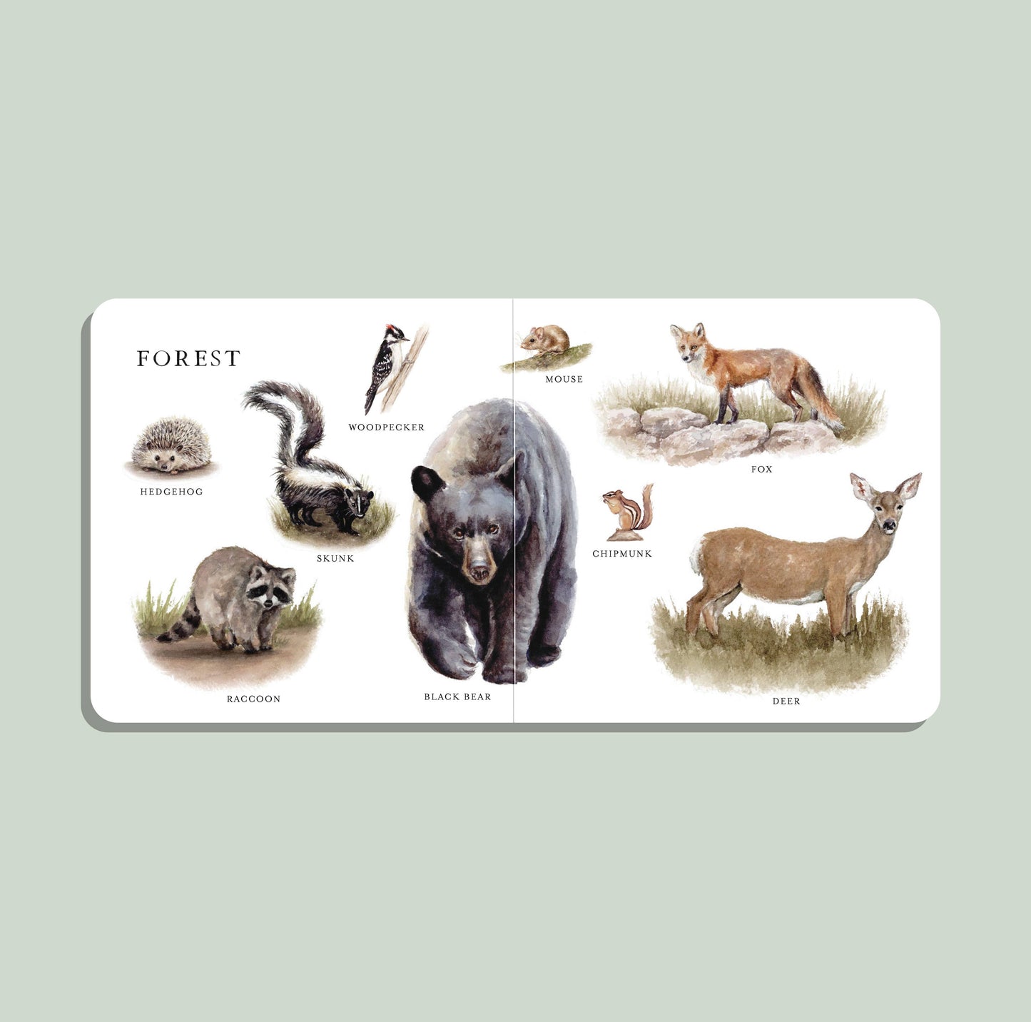 Our Big Book of Animals (Baby Board Book)