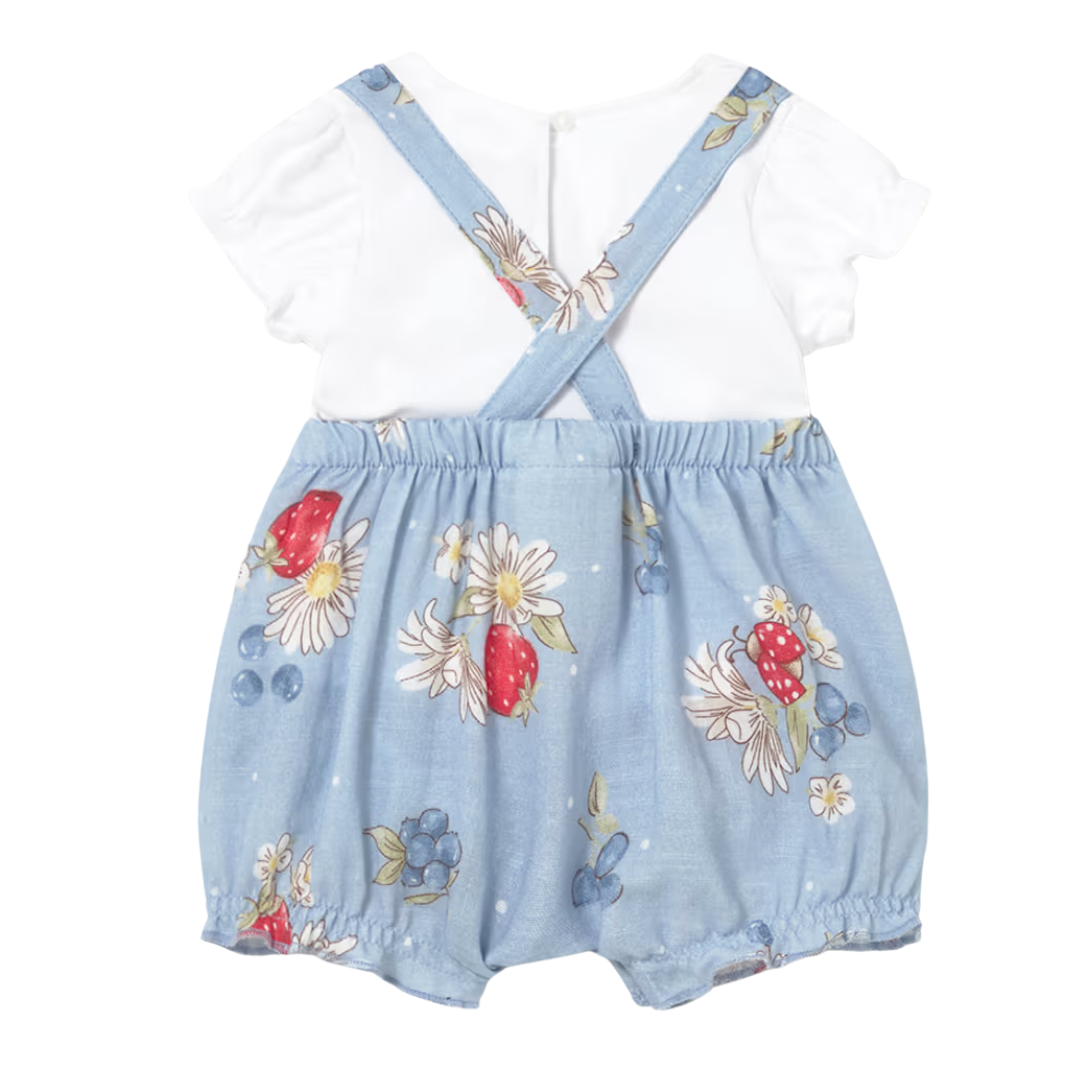 Strawberry Meadow Jumper Set