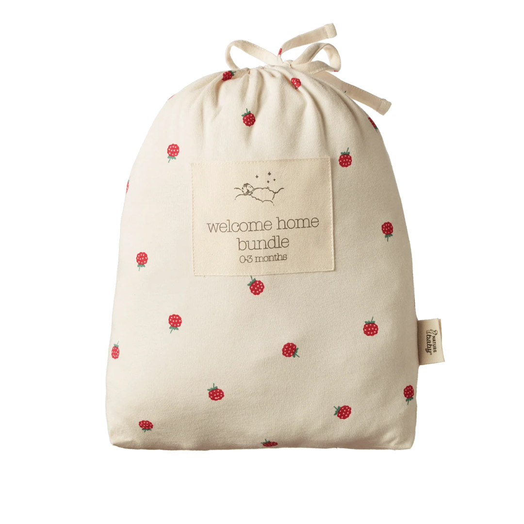 Welcome Home 4pc Raspberry Set