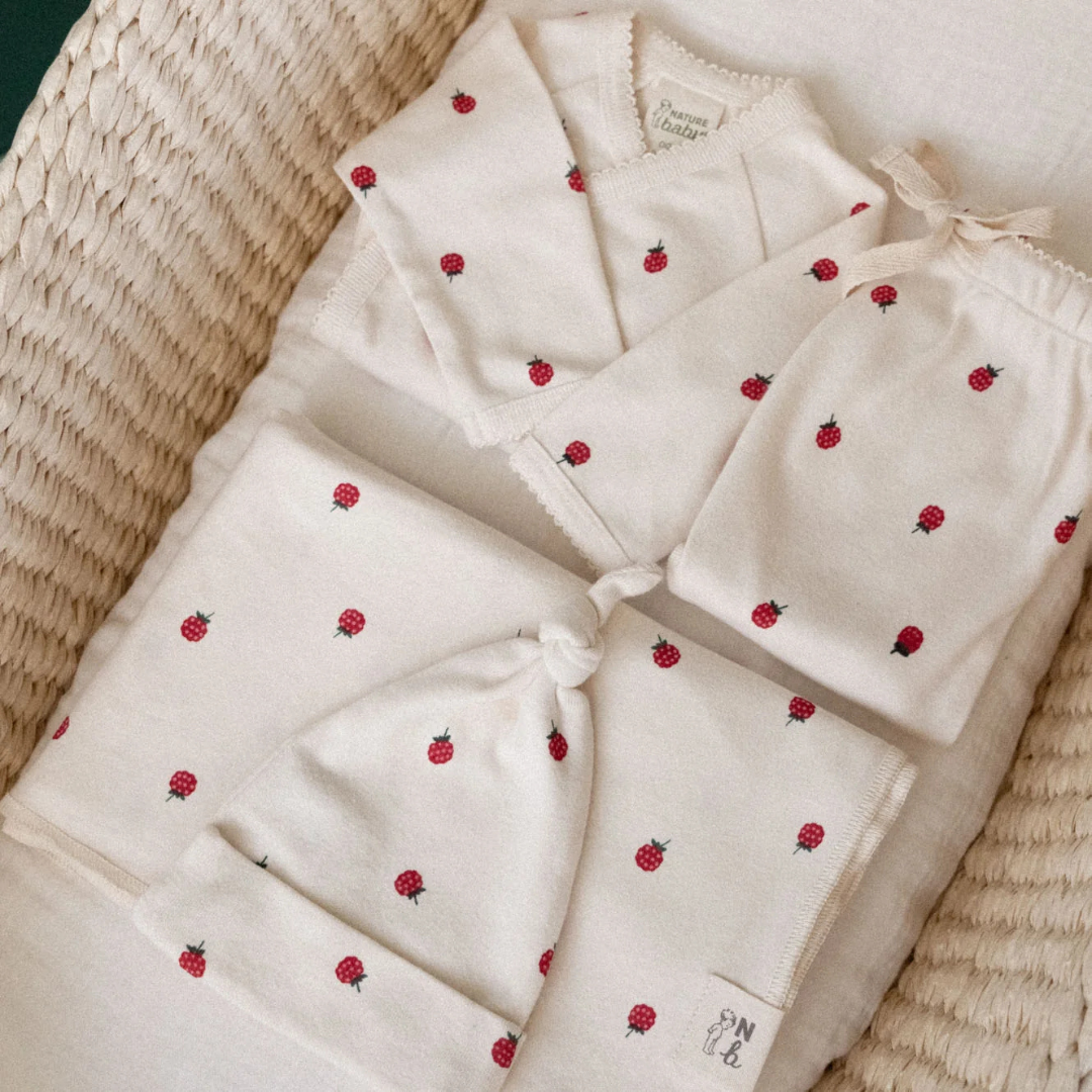 Welcome Home 4pc Raspberry Set