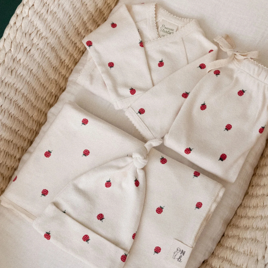 Welcome Home 4pc Raspberry Set