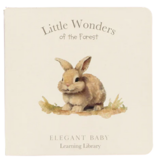 Little Wonders of the Forest