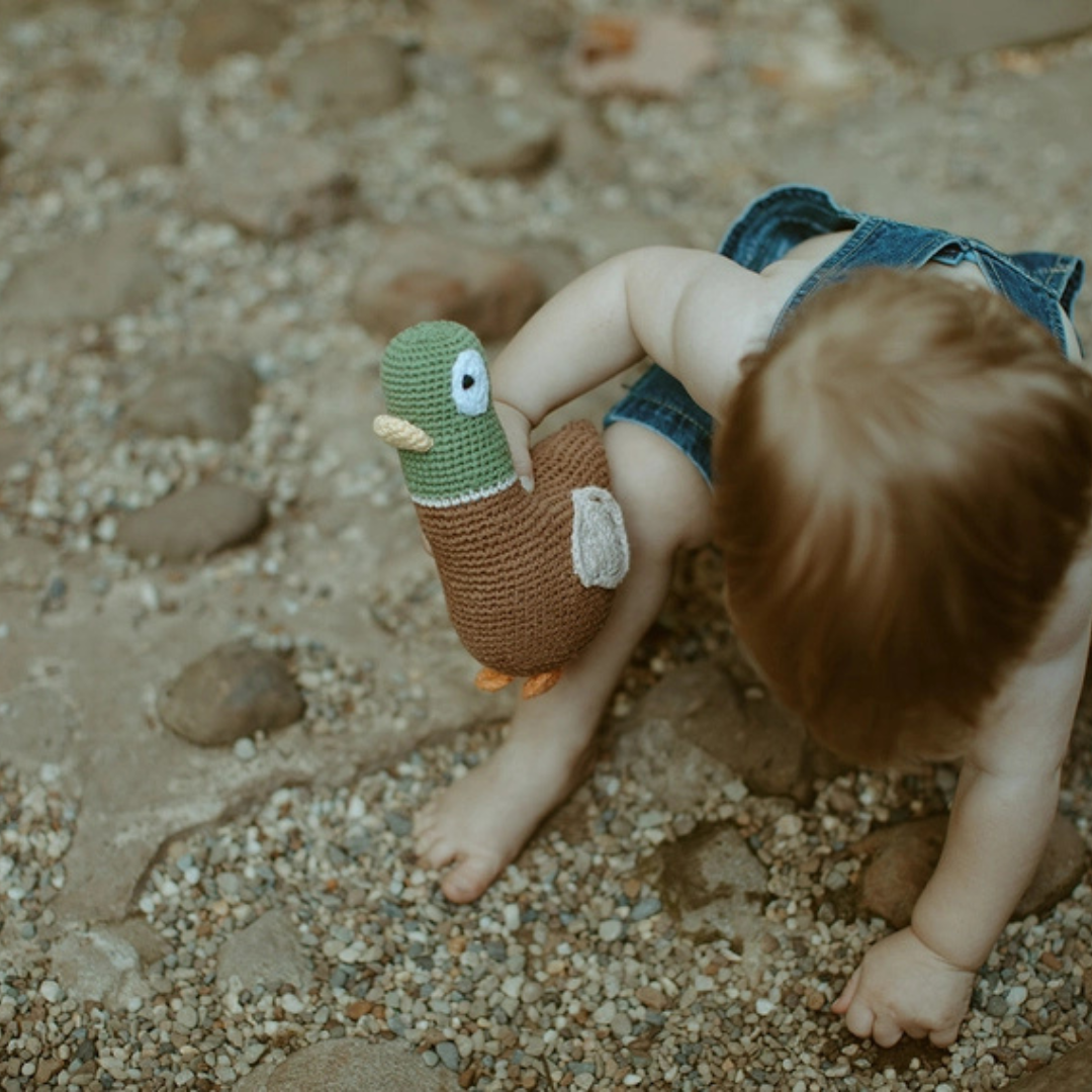 Mallard Duck Crochet Plush