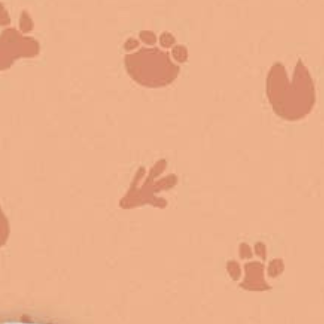 Wilderness Urban Burp Cloths
