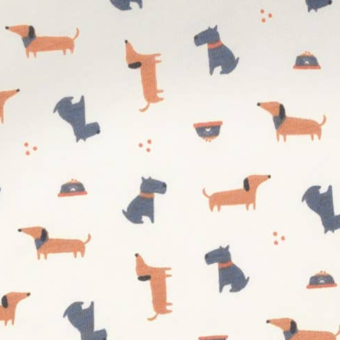 Pets & Paws Hallo Drool Bibs