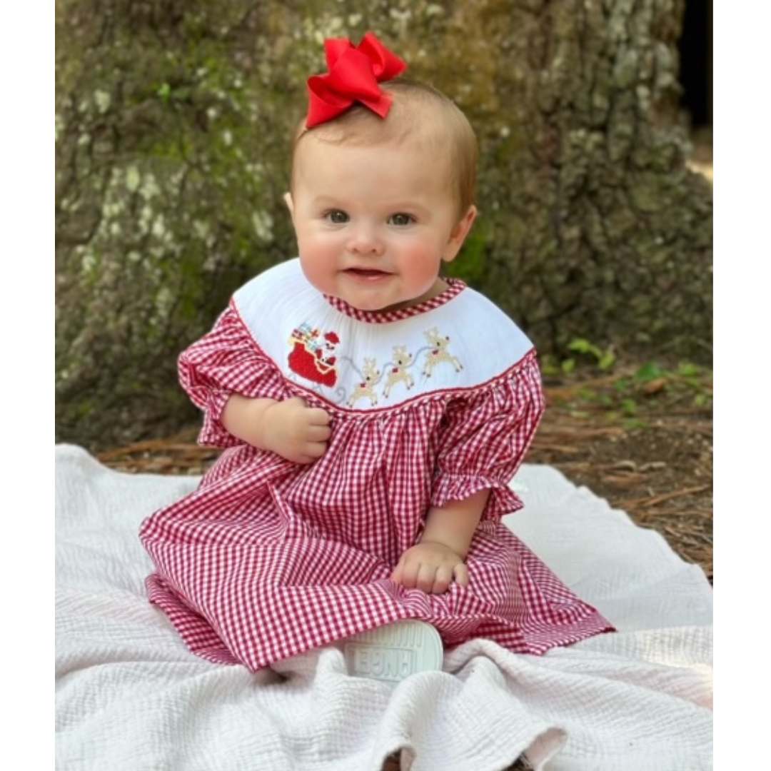 Santa's Sleigh Smocked Bishop Dress