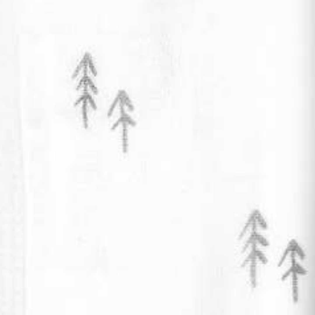 Nordic Softe Muslin Burp Cloths