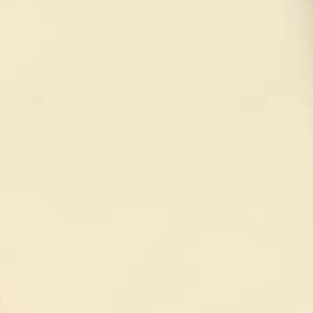 Butterflies Urban Burp Cloths