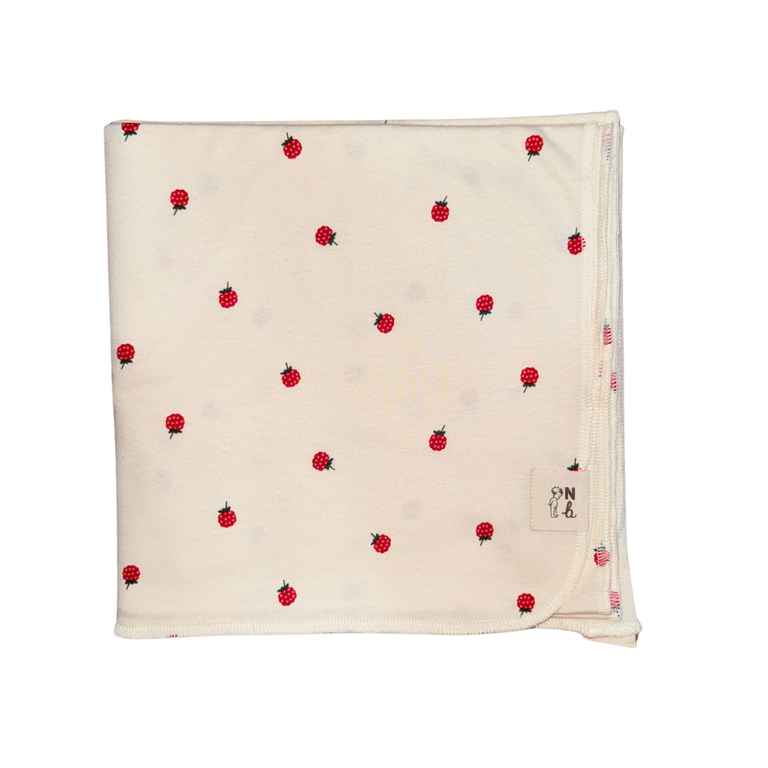Welcome Home 4pc Raspberry Set