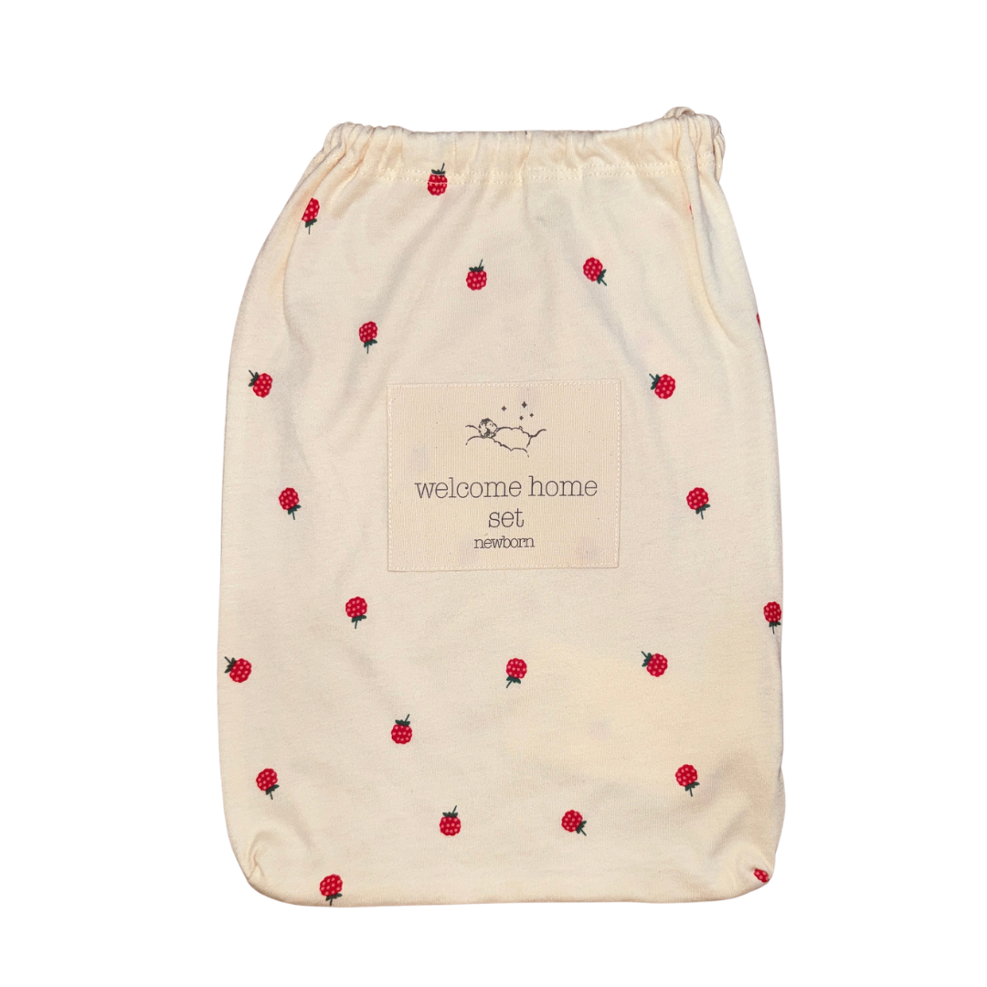 Welcome Home 4pc Raspberry Set