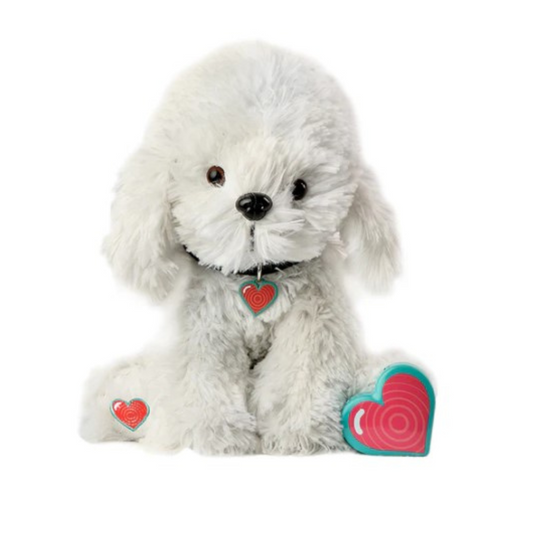 Puppy Bichon