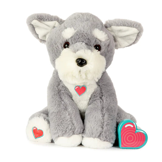 Puppy Schnauzer