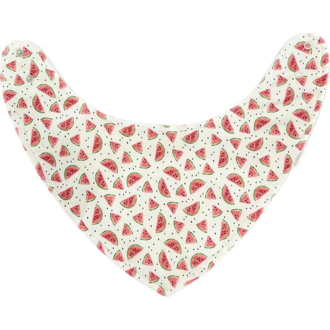 Bamboo Bandana Baby Bib Combo